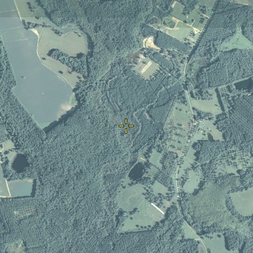 Aerial/Satellite Image of Big Branch, GA