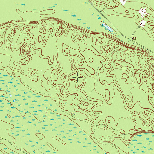 Topographic Map of Big Hammock, GA