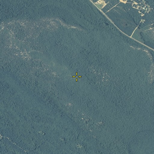 Aerial/Satellite Image of Big Hammock, GA