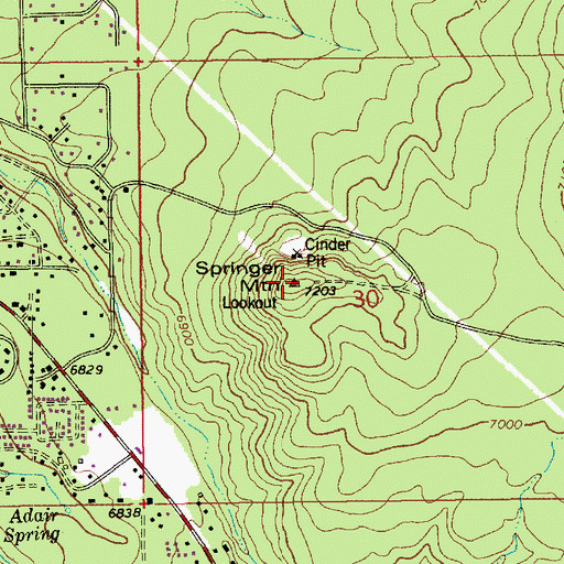 Topographic Map of Springer Mountain, AZ