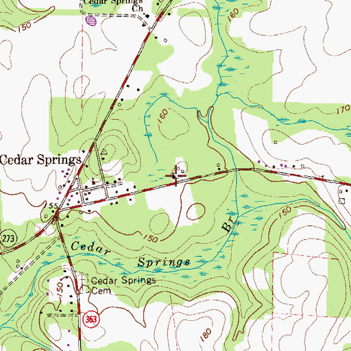 Topographic Map of Cedar Springs Church, GA