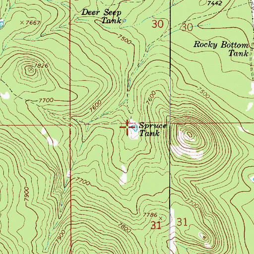 Topographic Map of Spruce Tank, AZ