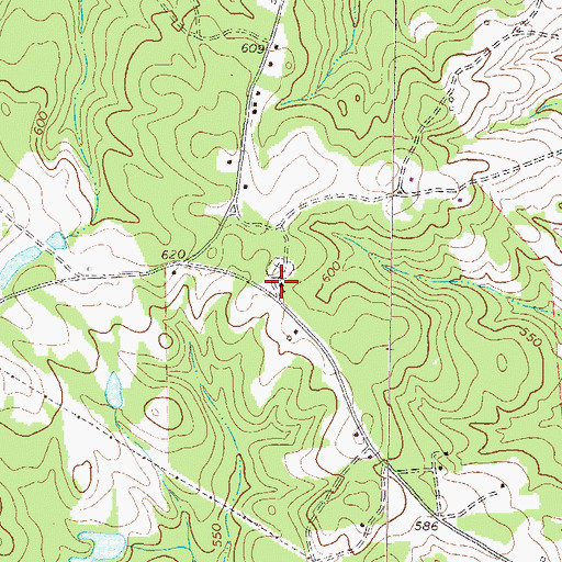 Topographic Map of Andrews Chapel, GA