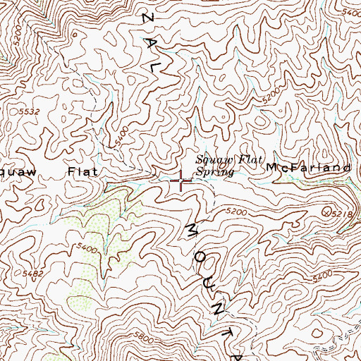 Topographic Map of Squaw Flat Spring, AZ