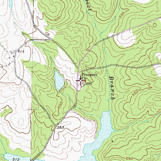 Topographic Map of Prospect Cemetery, GA