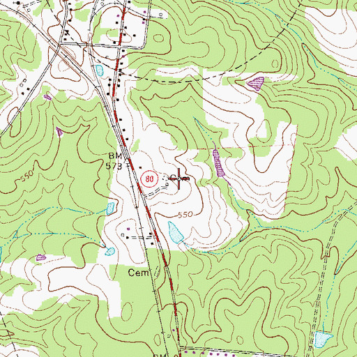 Topographic Map of Ricketson Cemetery, GA