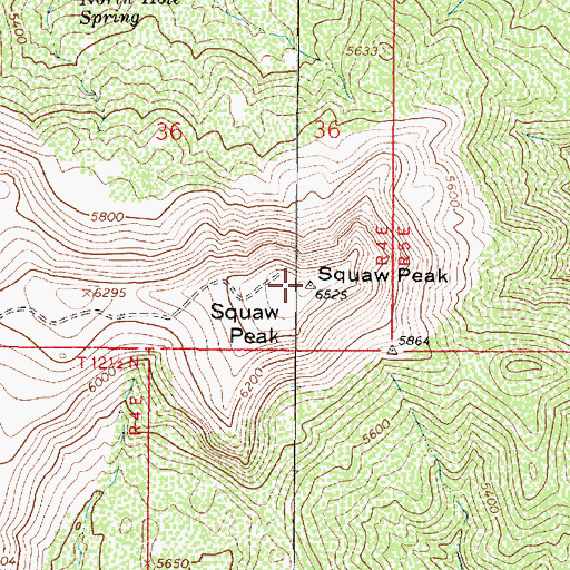 Topographic Map of Squaw Peak, AZ