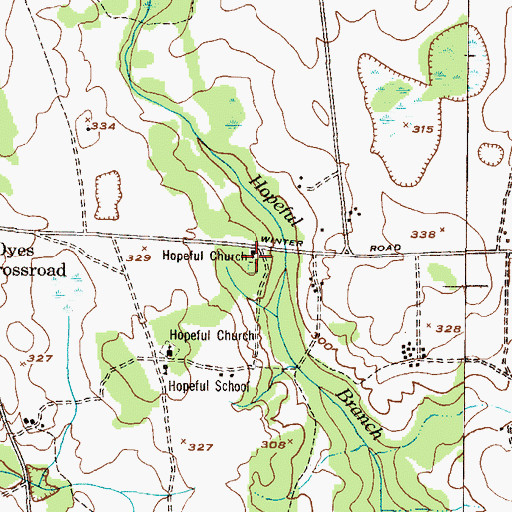 Topographic Map of Hopeful Cemetery, GA
