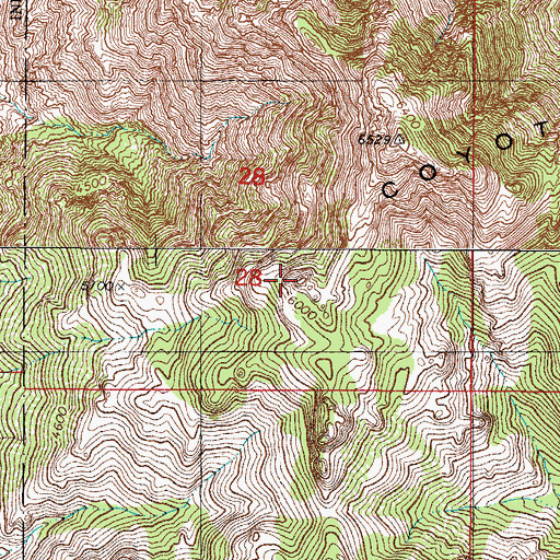 Topographic Map of Coyote Mountains, AZ