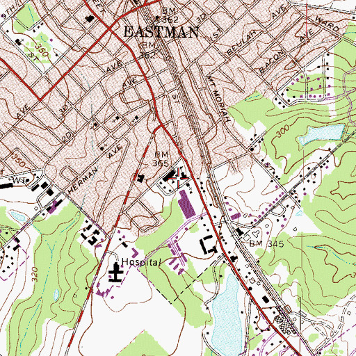 Topographic Map of Eastman Elementary School, GA