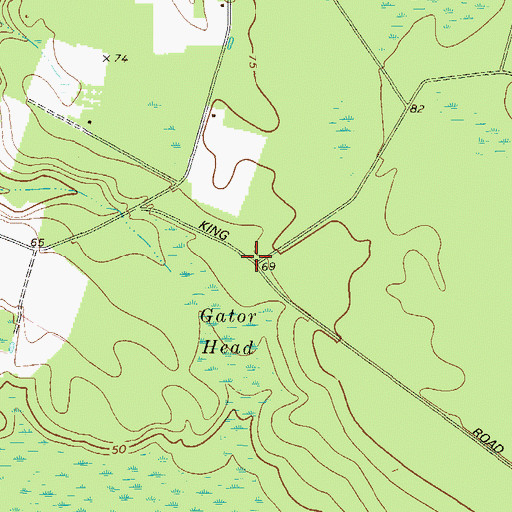 Topographic Map of Brewer (historical), GA