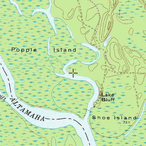 Topographic Map of Negro Island, GA
