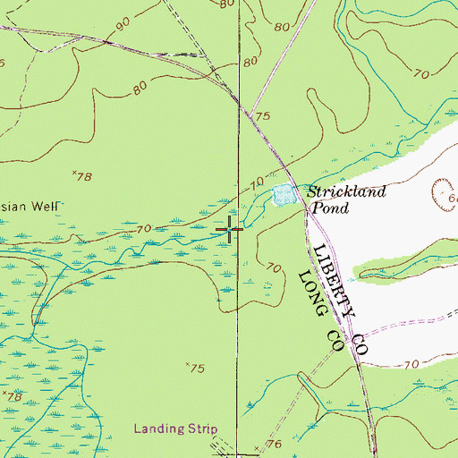 Topographic Map of Strickland Pond (historical), GA