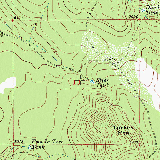 Topographic Map of Steer Tank, AZ