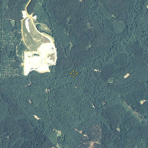 Aerial/Satellite Image of Kitten Branch, GA