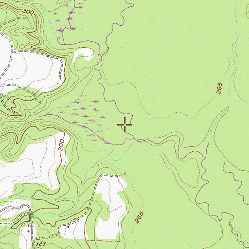 Topographic Map of Spring Branch, GA