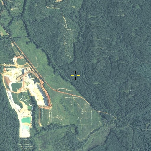 Aerial/Satellite Image of Thompkins Branch, GA