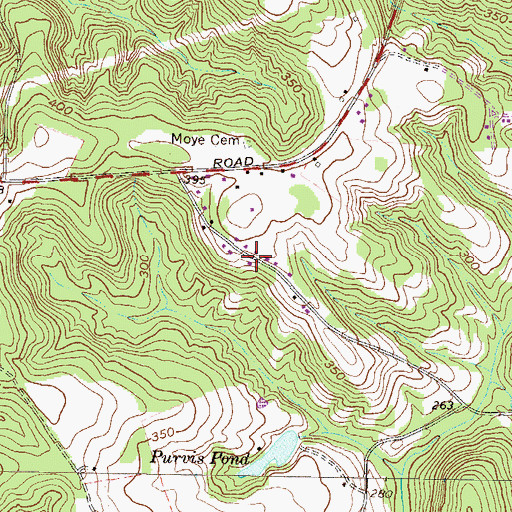 Topographic Map of Walker Chapel, GA