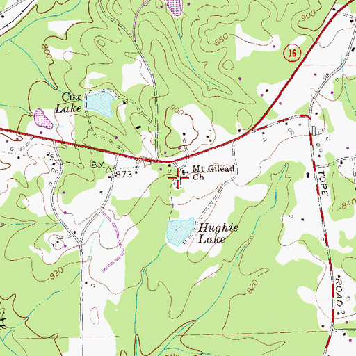 Topographic Map of Mount Gilead Cemetery, GA