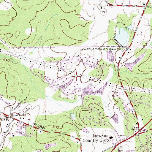 Topographic Map of Newnan Pines, GA
