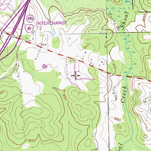 Topographic Map of Palmetto Pines, GA