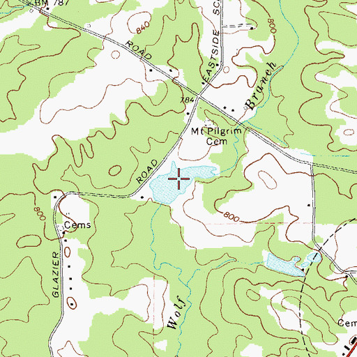 Topographic Map of Williams Lake, GA