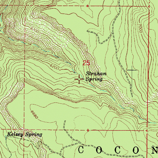 Topographic Map of Strahan Spring, AZ