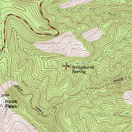 Topographic Map of Strayhorse Spring, AZ