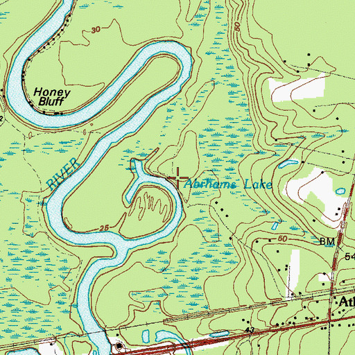 Topographic Map of Abrams Bluff, GA