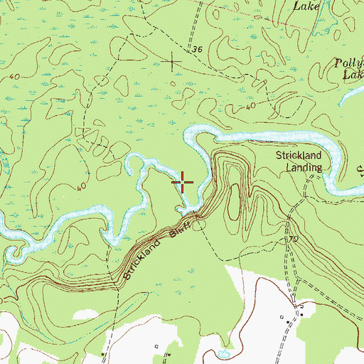 Topographic Map of Five Points Reach, GA