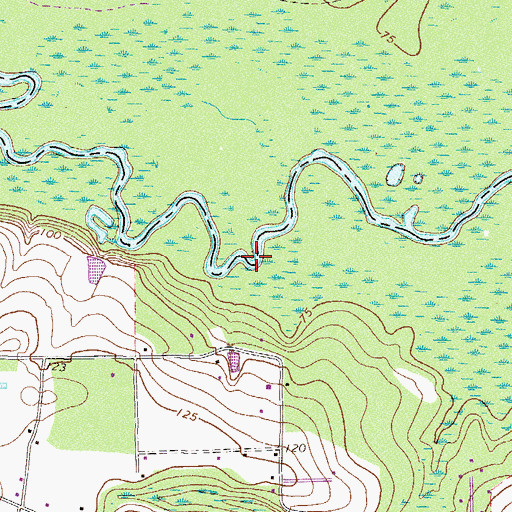 Topographic Map of Williams Cut, GA