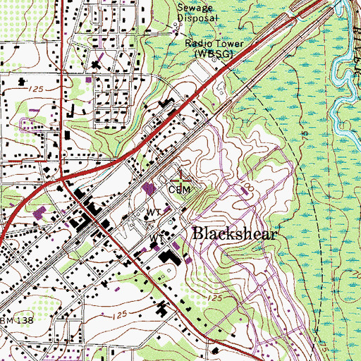 Topographic Map of Blackshear Cemetery, GA