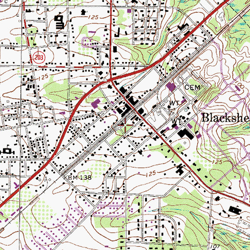 Topographic Map of Blackshear City Hall, GA