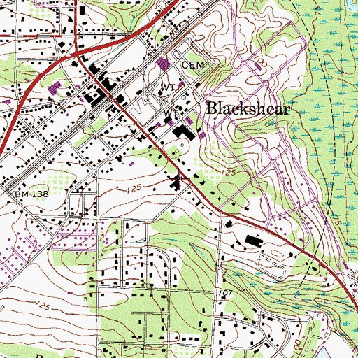 Topographic Map of Blackshear Grammar School, GA