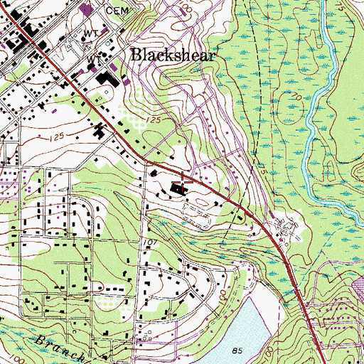 Topographic Map of Blackshear High School, GA