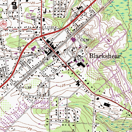 Topographic Map of Blackshear Memorial Library, GA