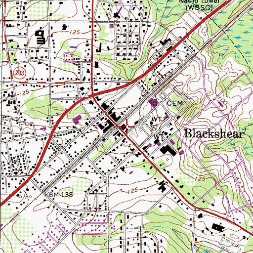 Topographic Map of Blackshear Post Office, GA