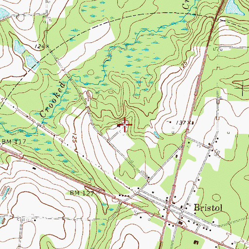 Topographic Map of Bristol Cemetery, GA