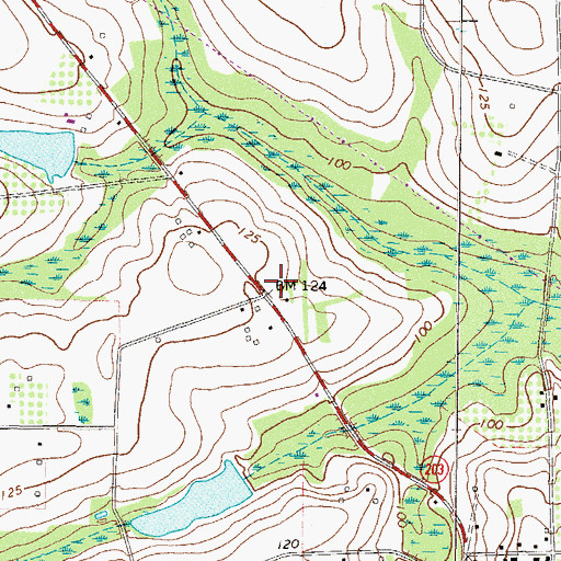 Topographic Map of Pine Bloom School (historical), GA