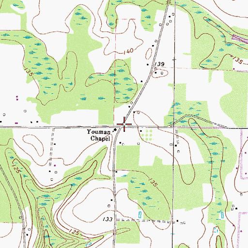 Topographic Map of Youman, GA