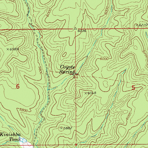 Topographic Map of Coyote Spring, AZ