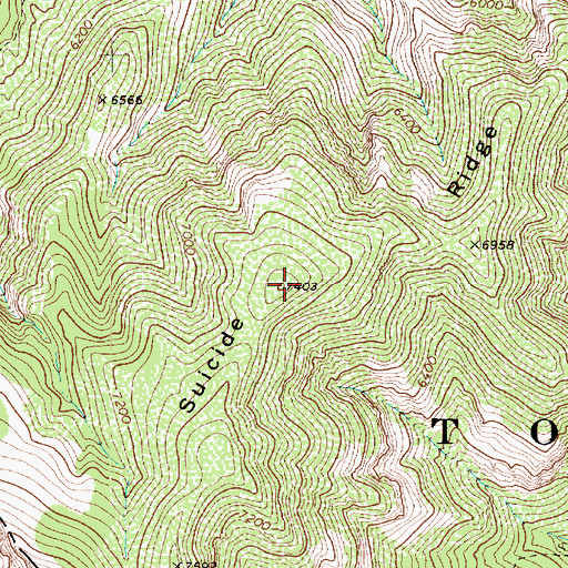 Topographic Map of Suicide Ridge, AZ