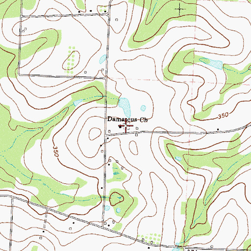 Topographic Map of Damascus Cemetery, GA