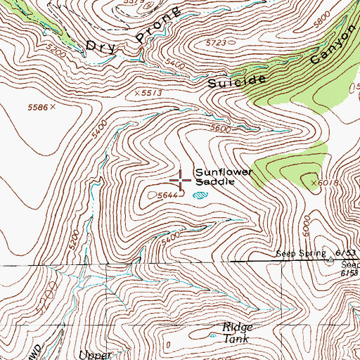 Topographic Map of Sunflower Saddle, AZ