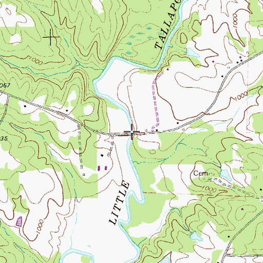Topographic Map of New Bridge, GA