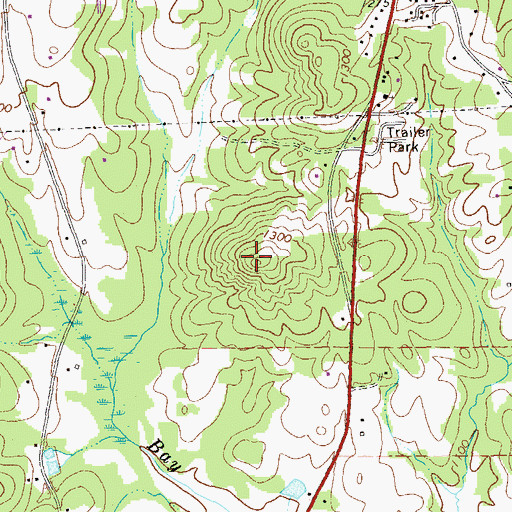 Topographic Map of William Mountain, GA
