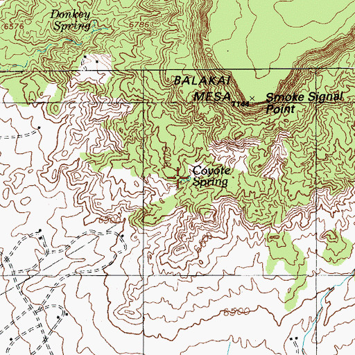 Topographic Map of Coyote Spring, AZ