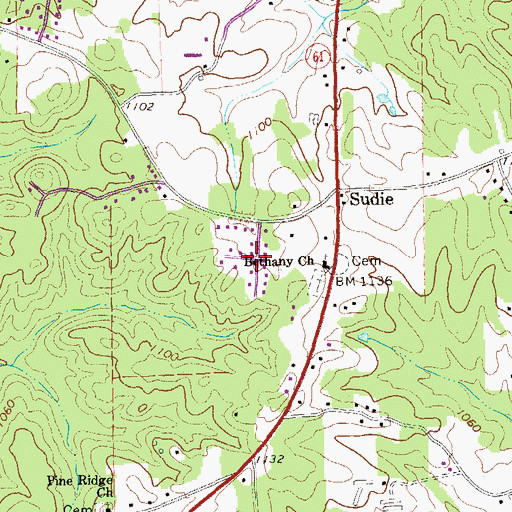 Topographic Map of Pine Forest, GA