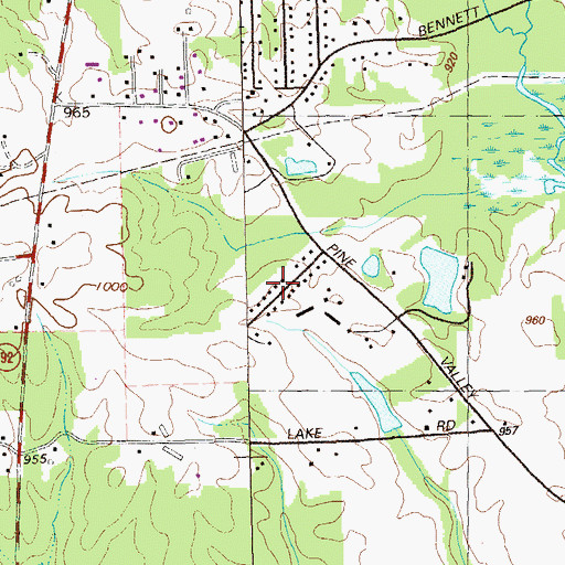 Topographic Map of Pine Valley Estates, GA