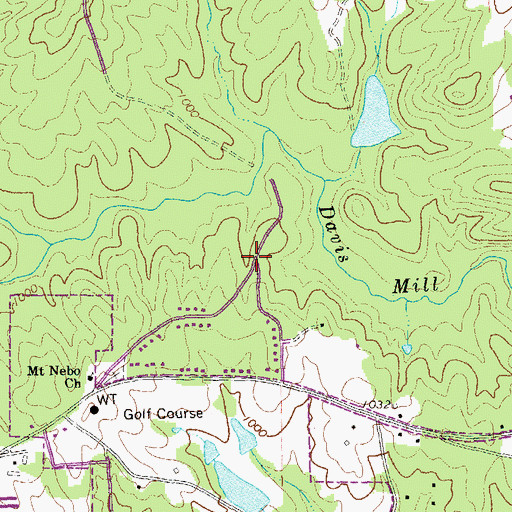 Topographic Map of Swan Lake, GA